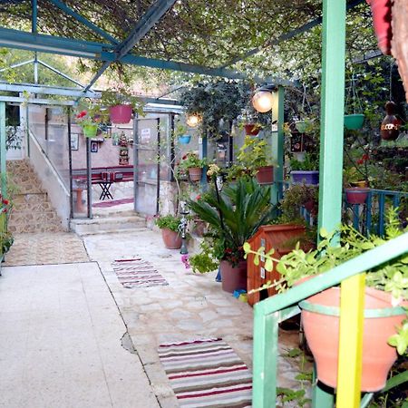 بيت الطبيعة Nature House Jarash Exterior foto