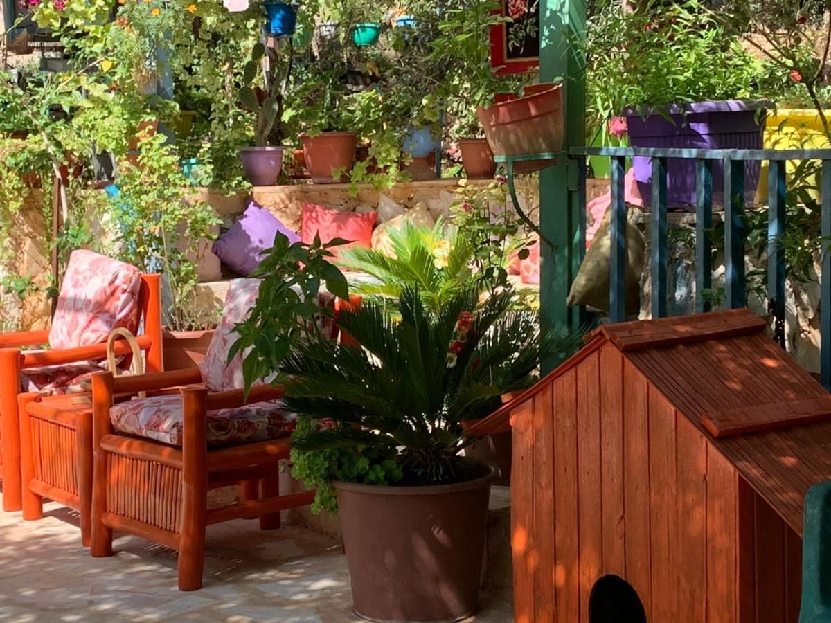 بيت الطبيعة Nature House Jarash Exterior foto