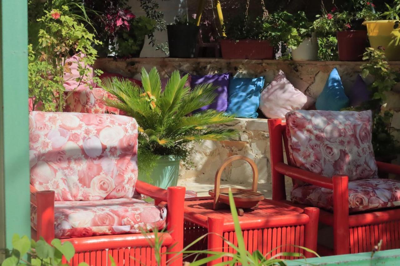 بيت الطبيعة Nature House Jarash Exterior foto