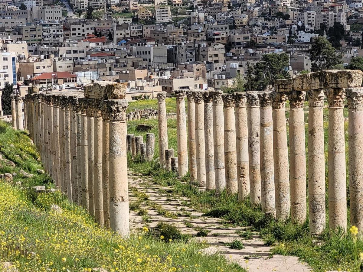 بيت الطبيعة Nature House Jarash Exterior foto