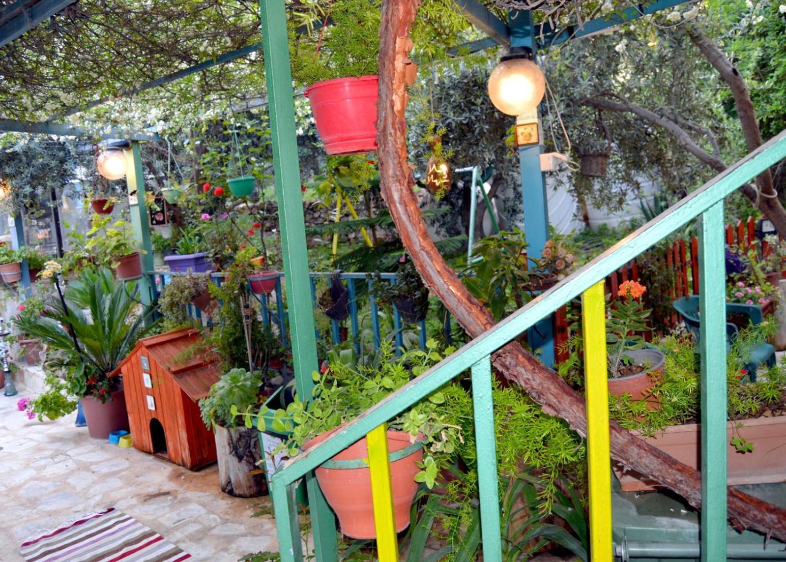 بيت الطبيعة Nature House Jarash Habitación foto