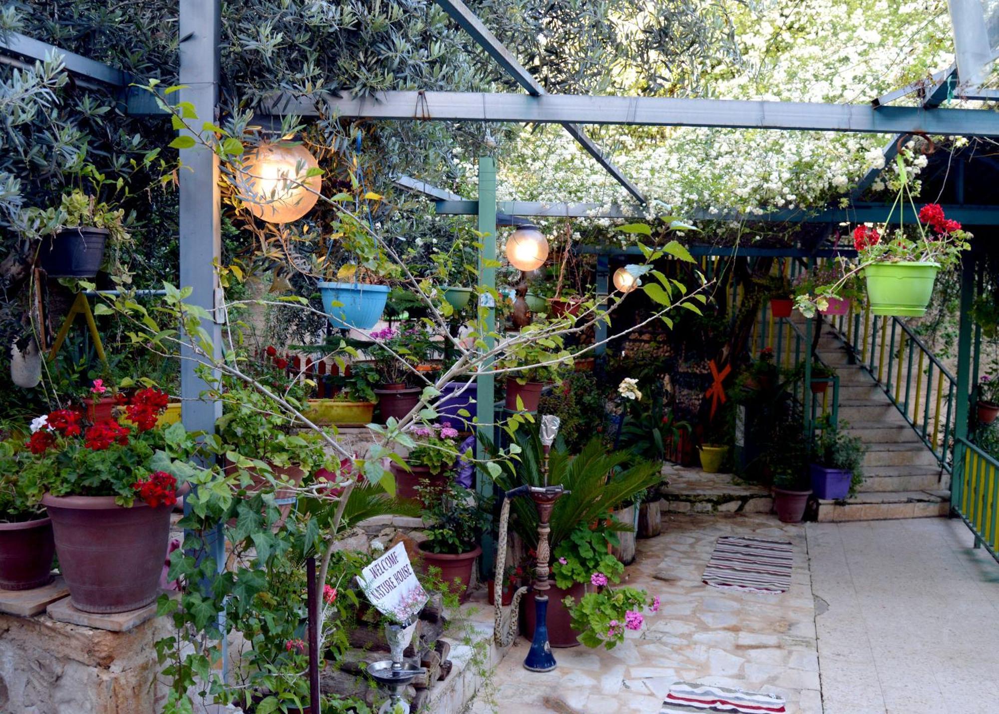 بيت الطبيعة Nature House Jarash Exterior foto